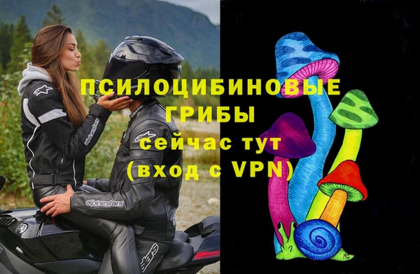 бошки Армянск