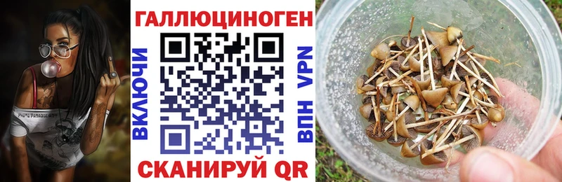 Псилоцибиновые грибы Magic Shrooms  Купить  Саки 